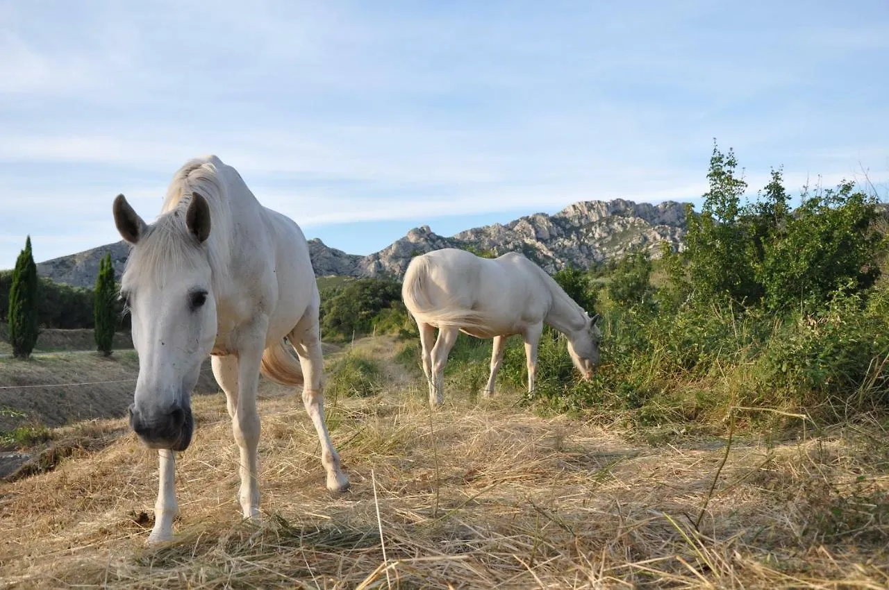 הוילה Aureille Le Panorama Des Alpilles בית נופש